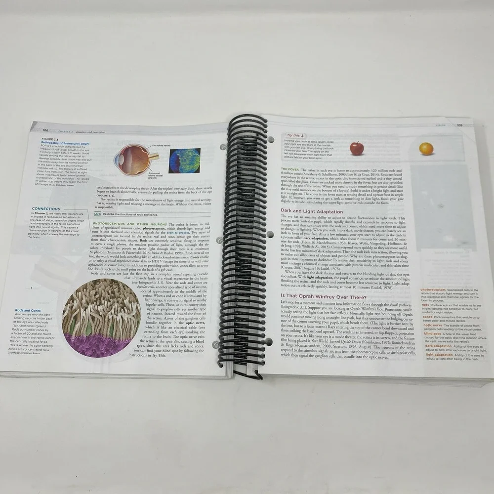 Psychology by Misty Hull, Deborah Loose leaf, 2nd Edition with Launch Pad Access